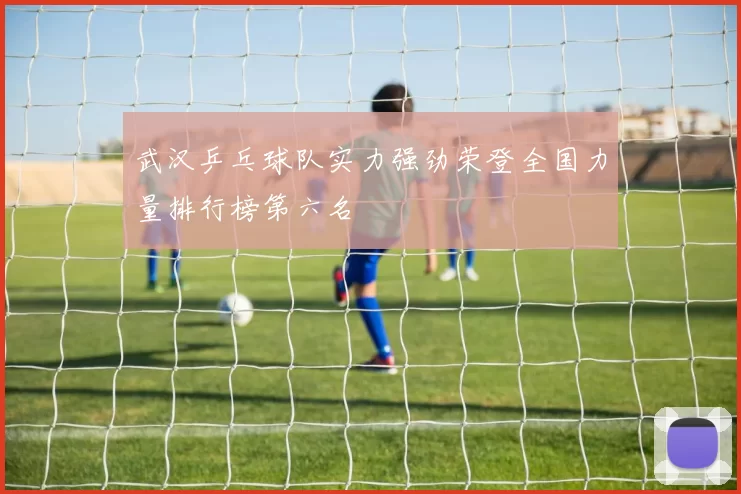 武汉乒乓球队实力强劲荣登全国力量排行榜第六名