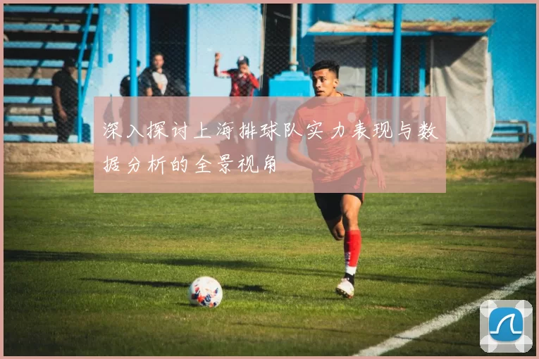 深入探讨上海排球队实力表现与数据分析的全景视角