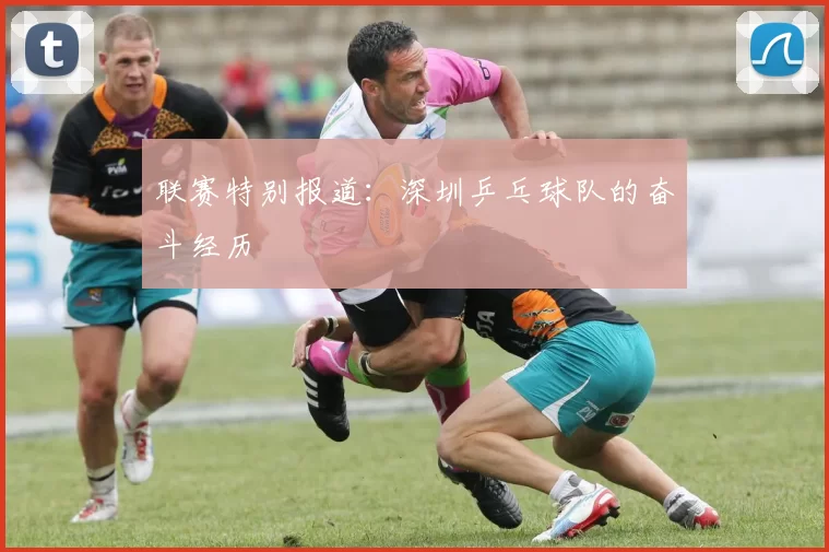 联赛特别报道：深圳乒乓球队的奋斗经历