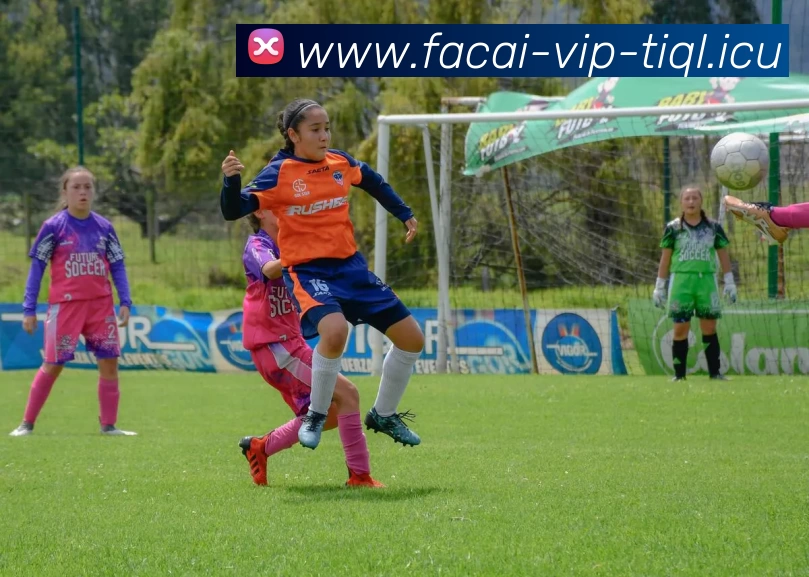 乐鱼体育注册平台生态图